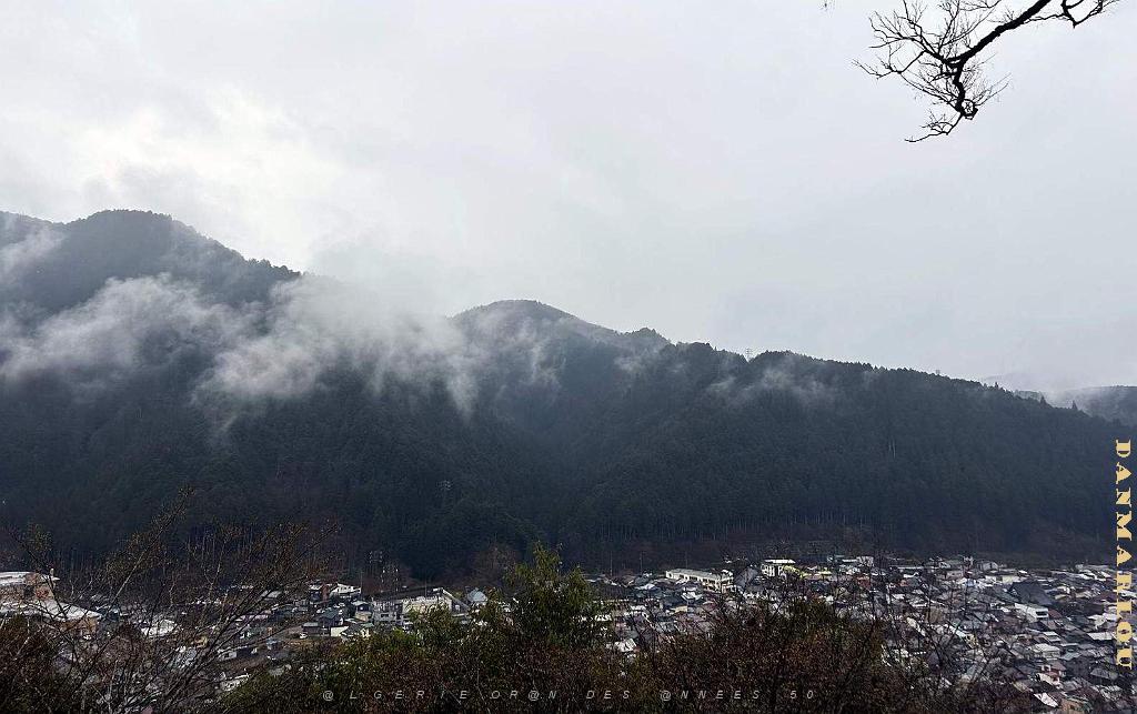 Nagoya - Excursion a Shirakawa via Takayama - 130.jpg